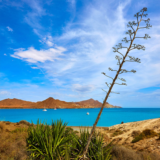 Parque Natural Cabo de Gata 1 Parque Natural Cabo de Gata-Níjar en otoño